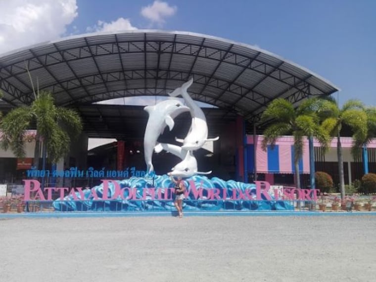 Pattaya Dolphin World_4